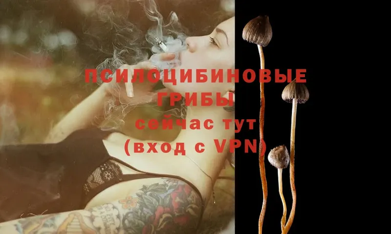 MEGA зеркало  Рассказово  Псилоцибиновые грибы Psilocybine cubensis 